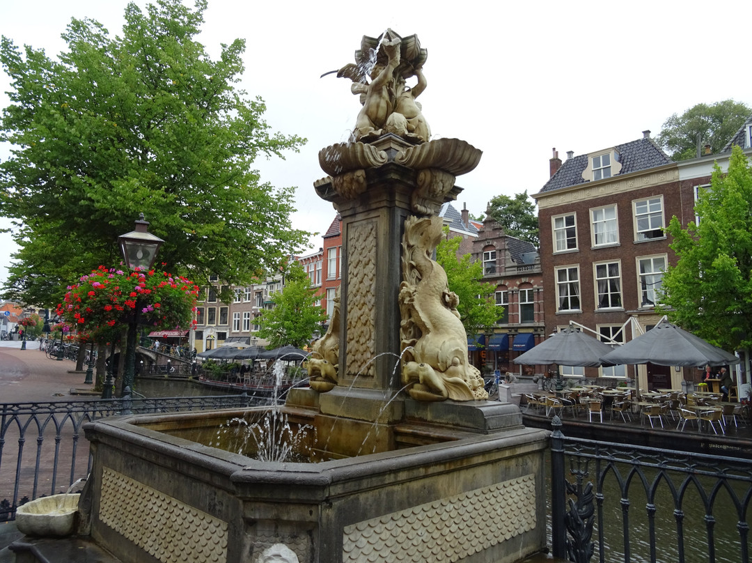 Vismarktfontein-莱顿必去景点