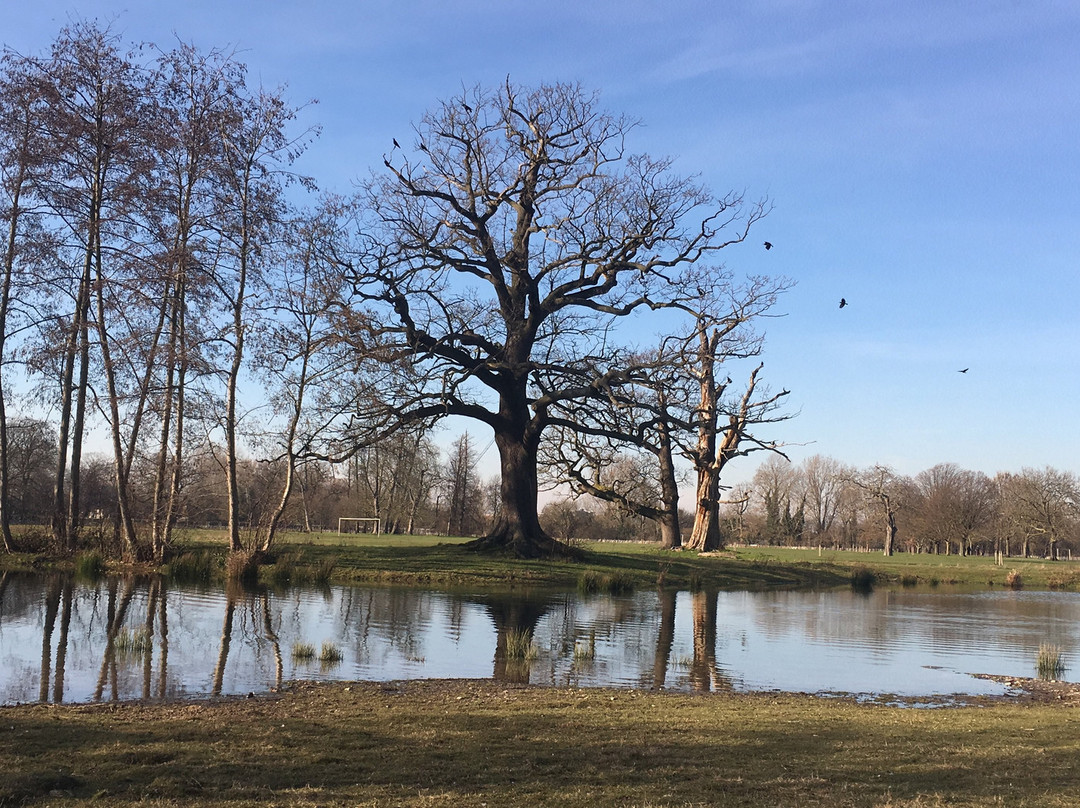 Beddington Park景点图片