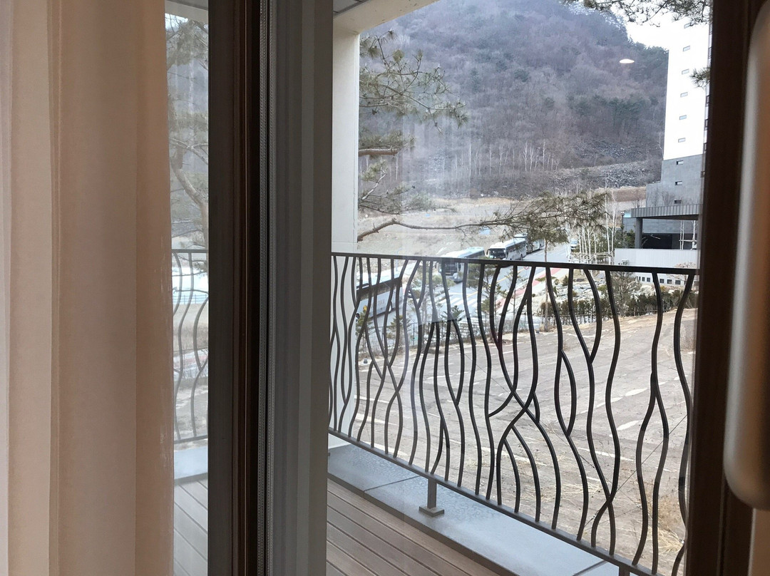 Pine Forest Jeongseon Alpine Resort主图