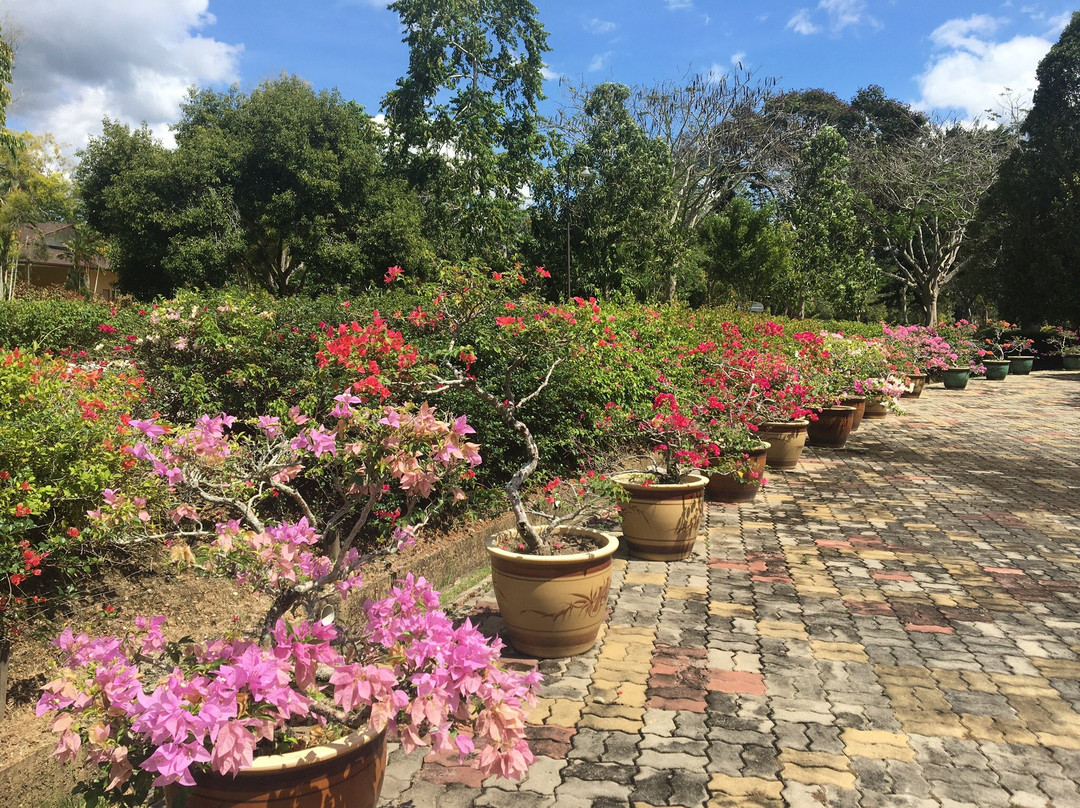Sabah Agricultural Park-丹南必去景点