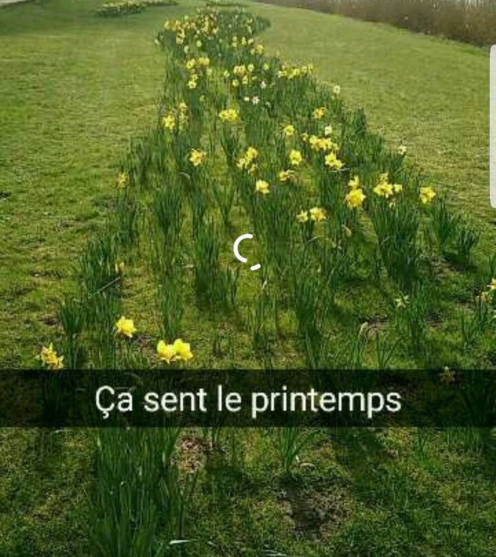 Lac de Creutzwald-Creutzwald必去景点