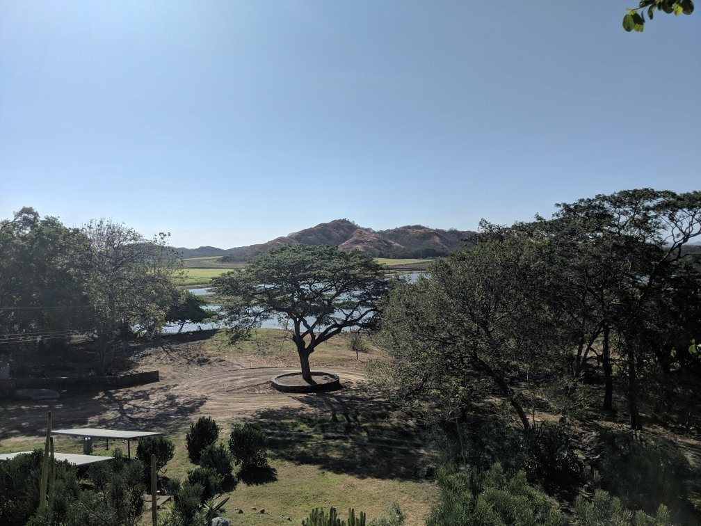 Hacienda El Viejo Wetlands景点图片