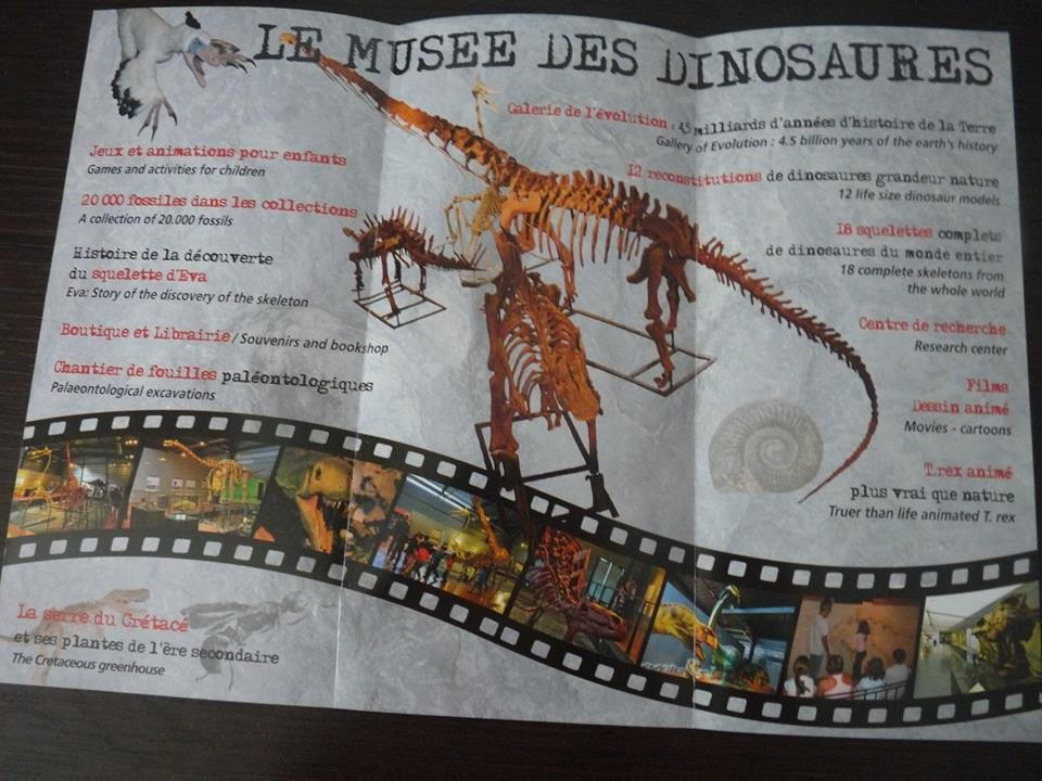 Musee des Dinosaures 'Dinosauria'景点图片