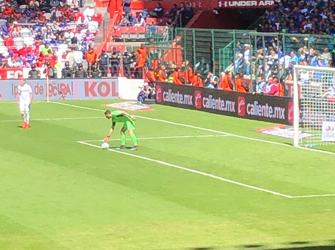 Estadio Nemesio Diez景点图片