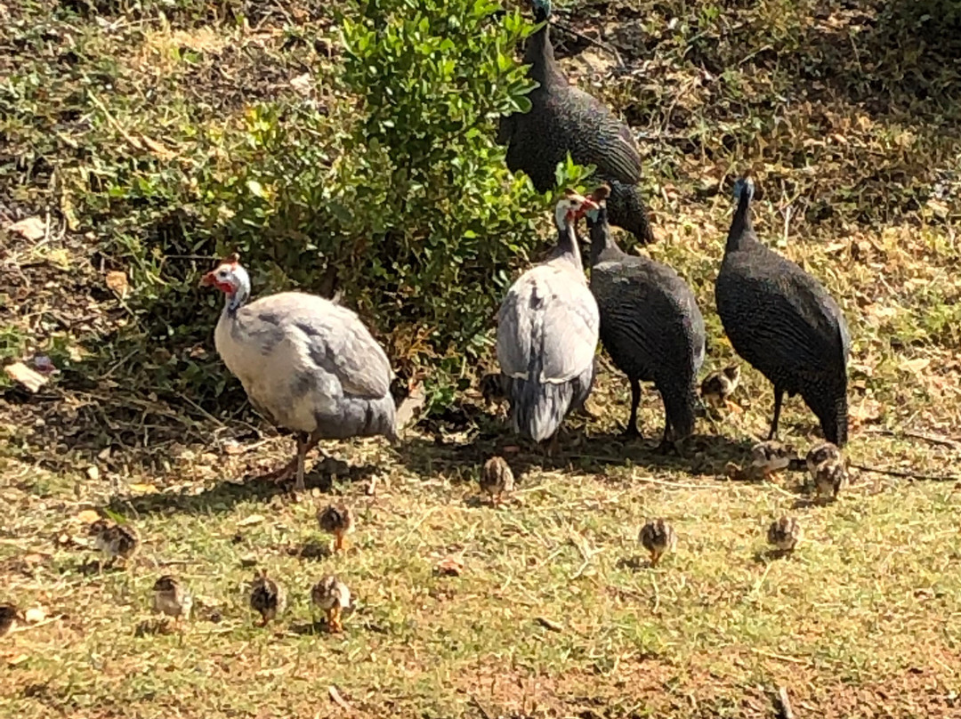 Dana Bay B&B Guest House主图