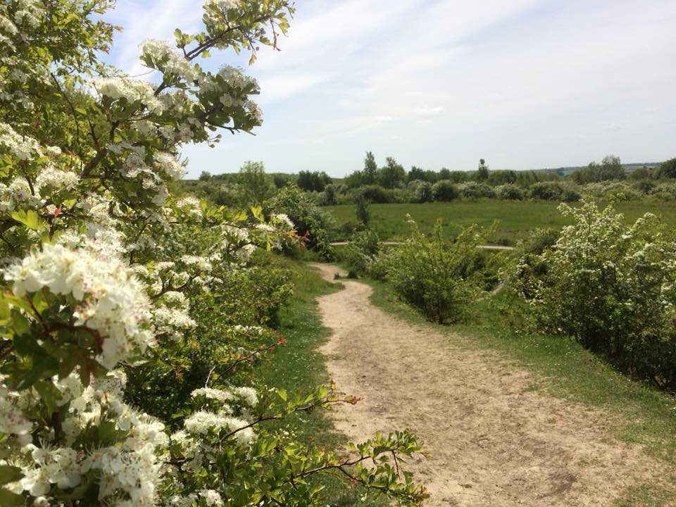 Fermyn Woods Country Park-Brigstock必去景点