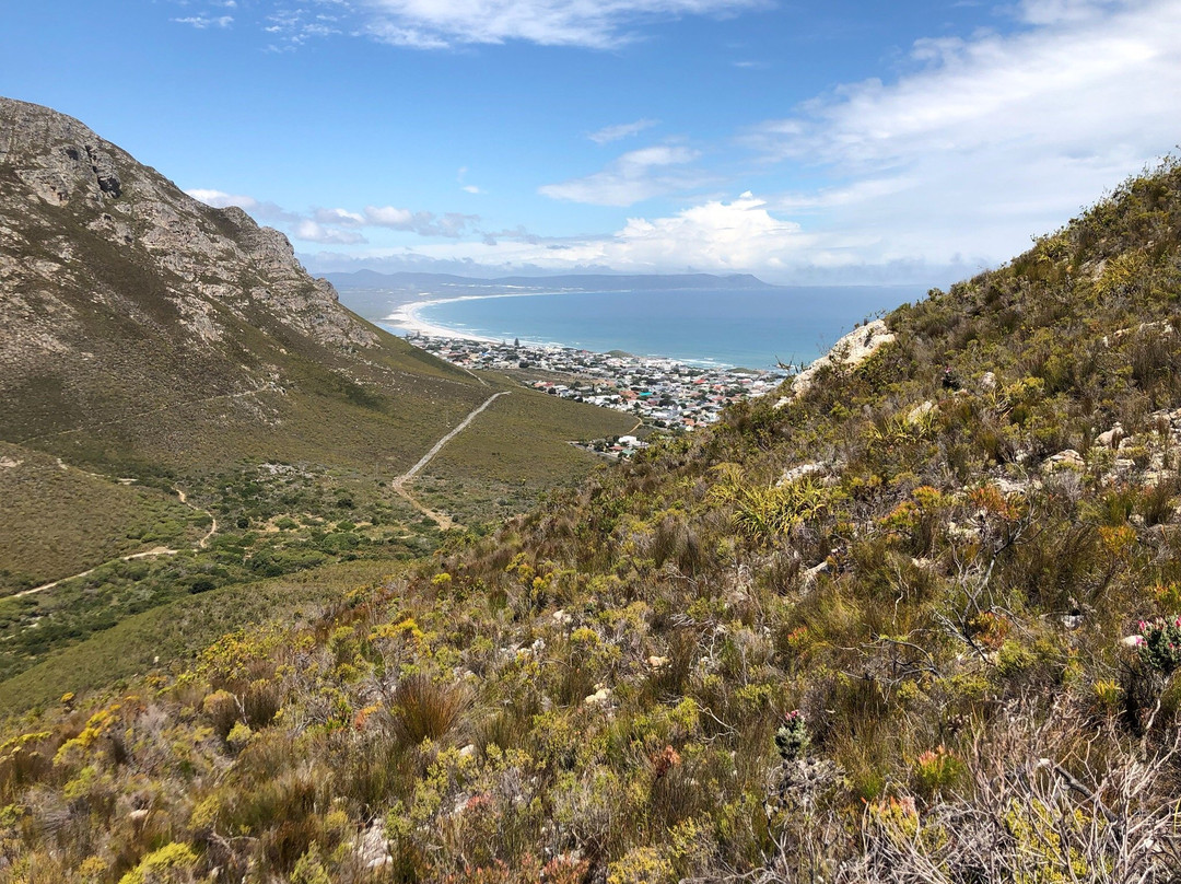 Fernkloof Nature Reserve景点图片