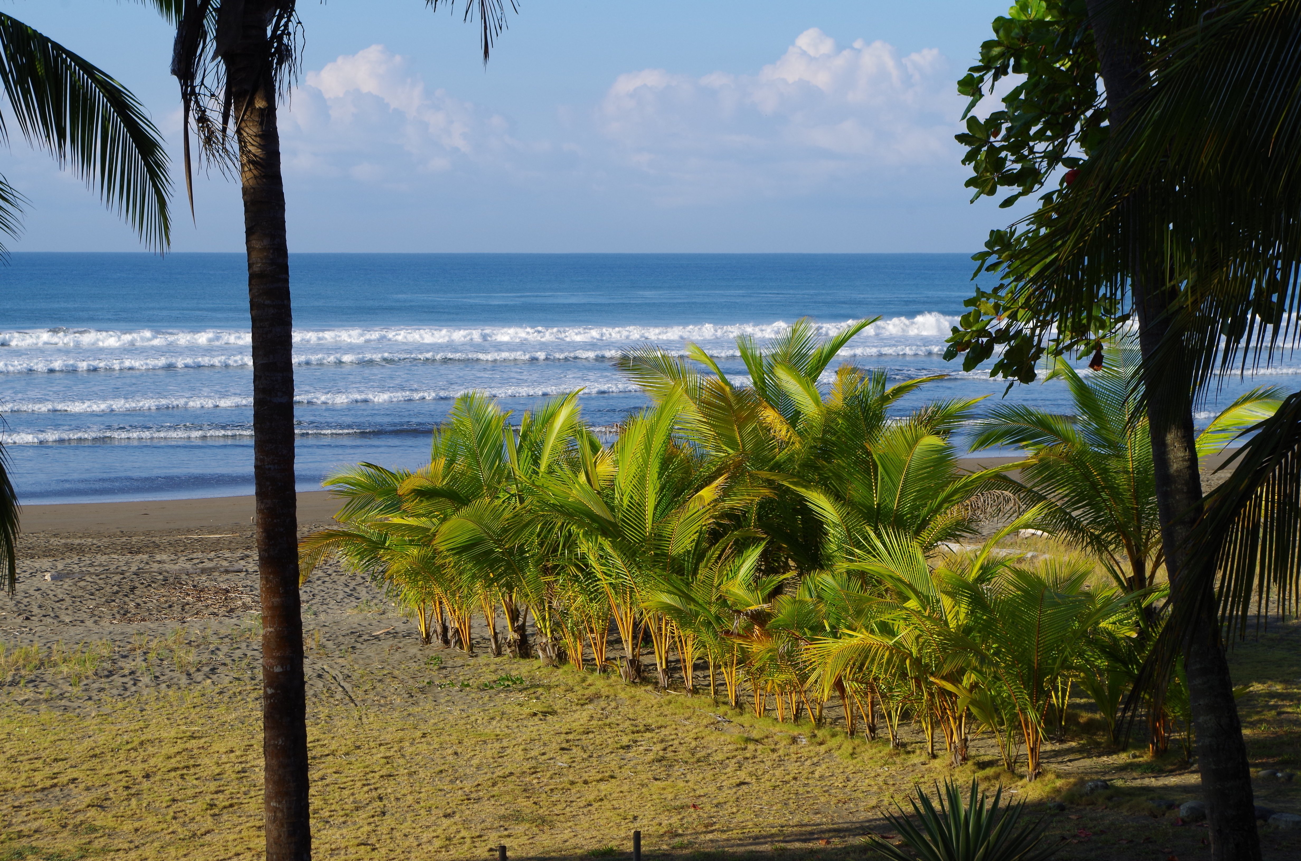 Hotel Delfin Playa Bejuco-酒店景观