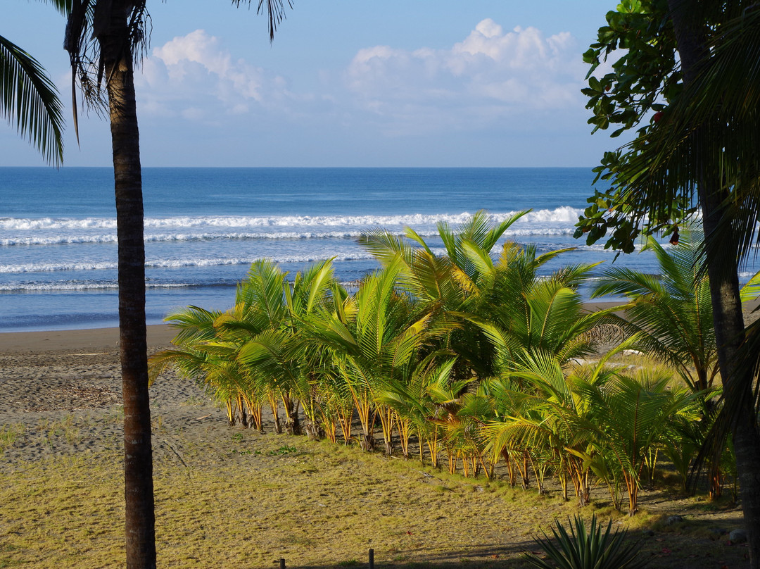Hotel Delfin Playa Bejuco主图