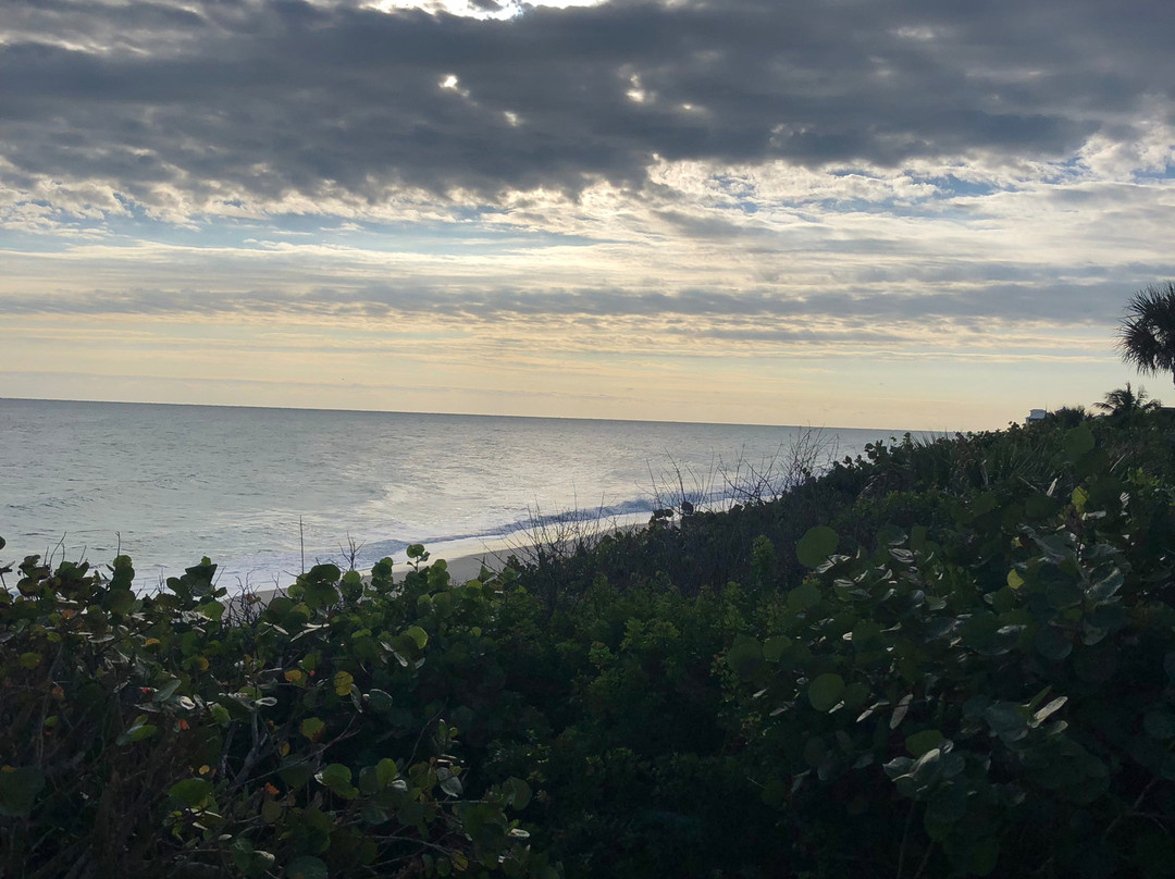 迪士尼维罗海滩度假酒店主图