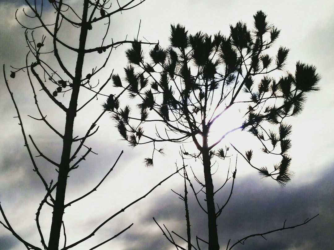 Hedianga Farm-比勒陀利亚必去景点