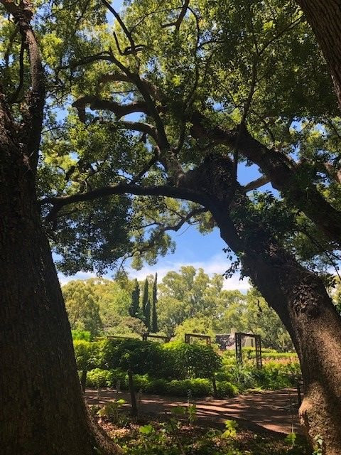 Vergelegen Estate-西索美塞必去景点