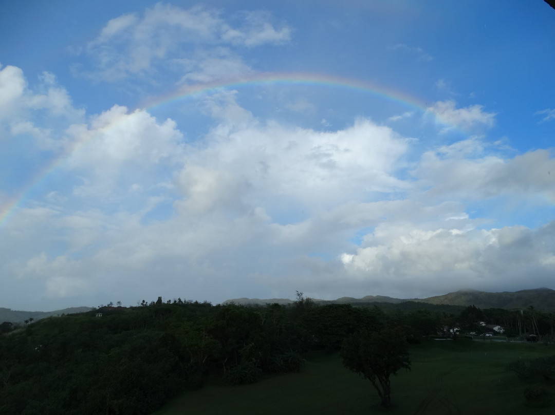 利奥宫殿酒店主图