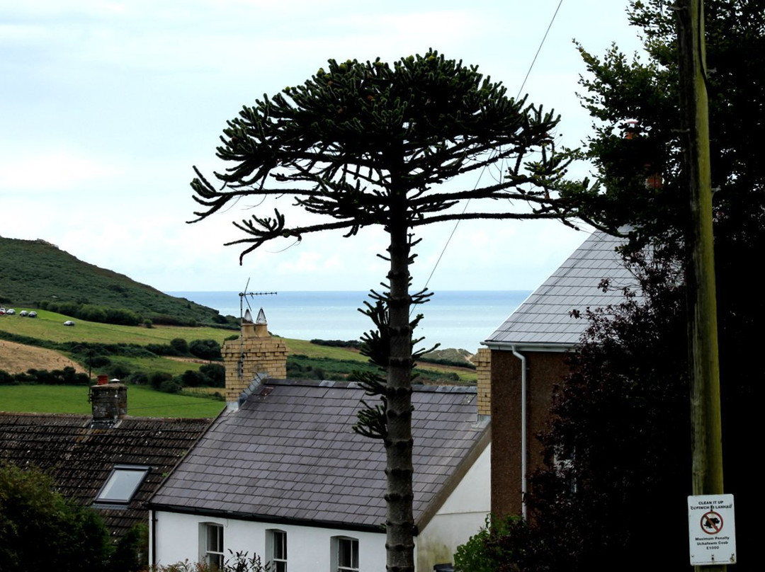 Oxwich Bay Hotel主图