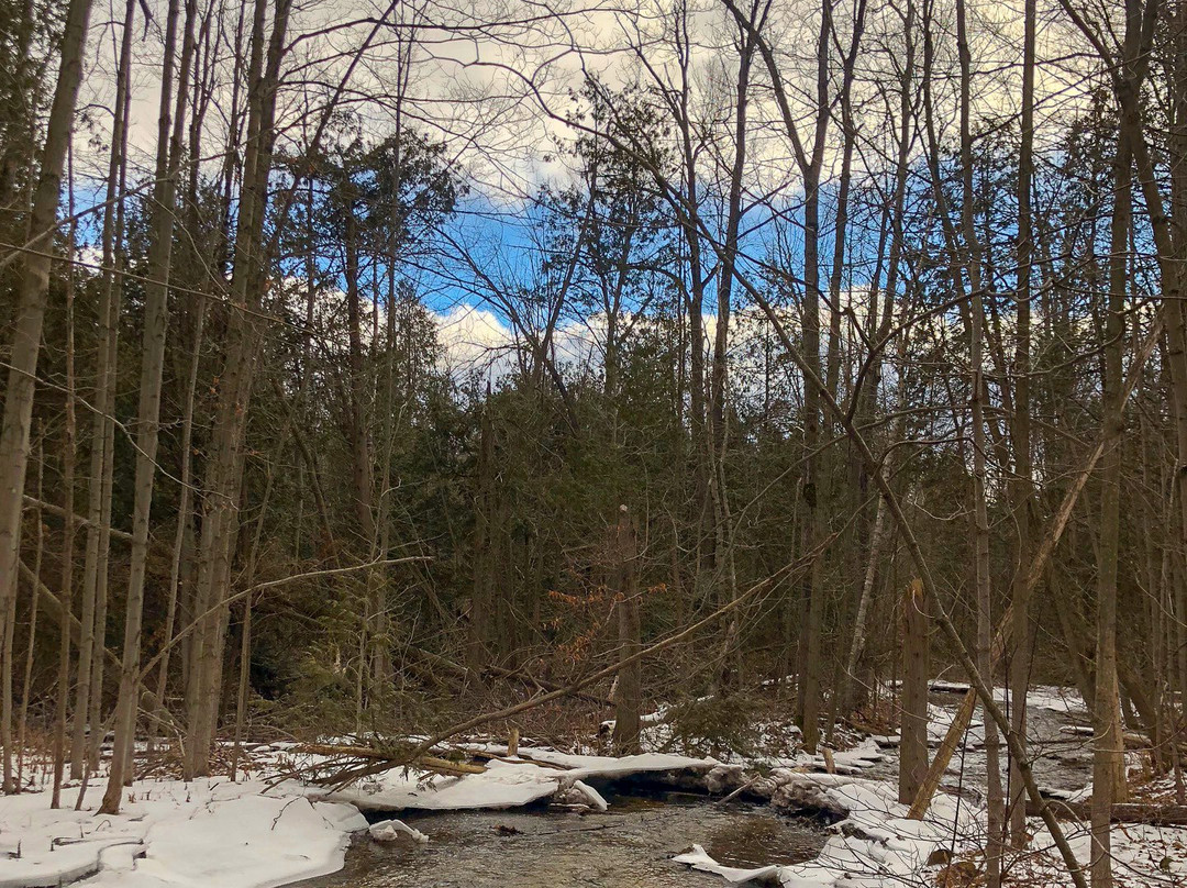 Silver Creek Conservation Area-Georgetown必去景点
