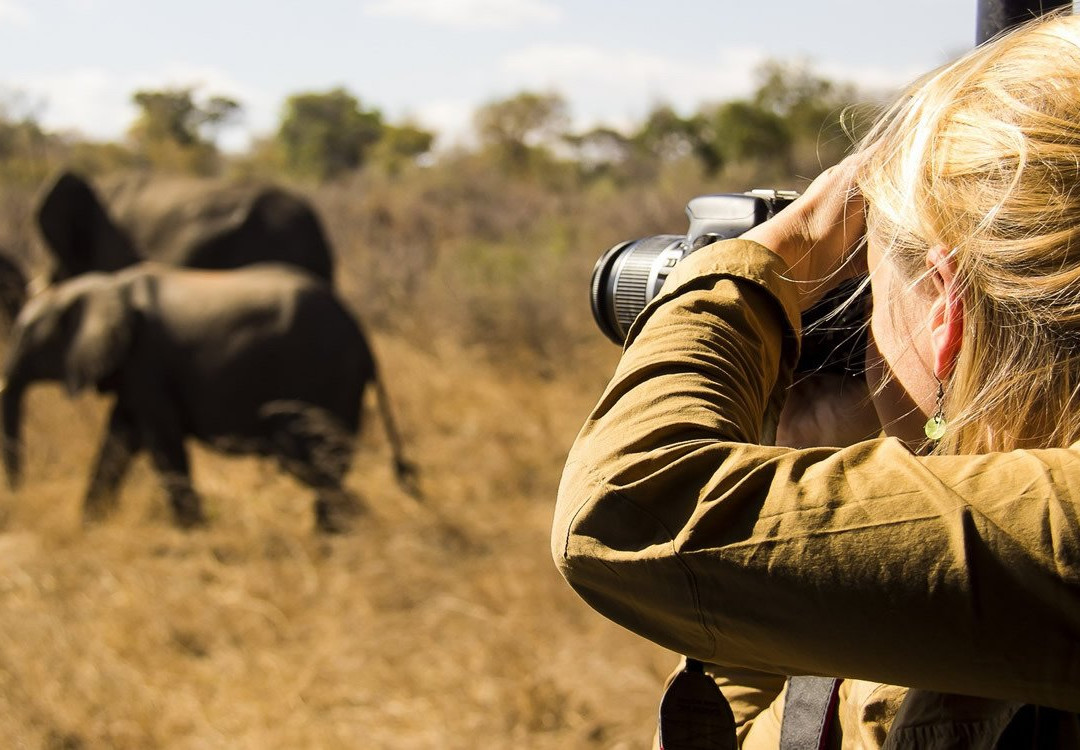 Unique Jungle Tours - Day Tours-阿鲁沙必去景点