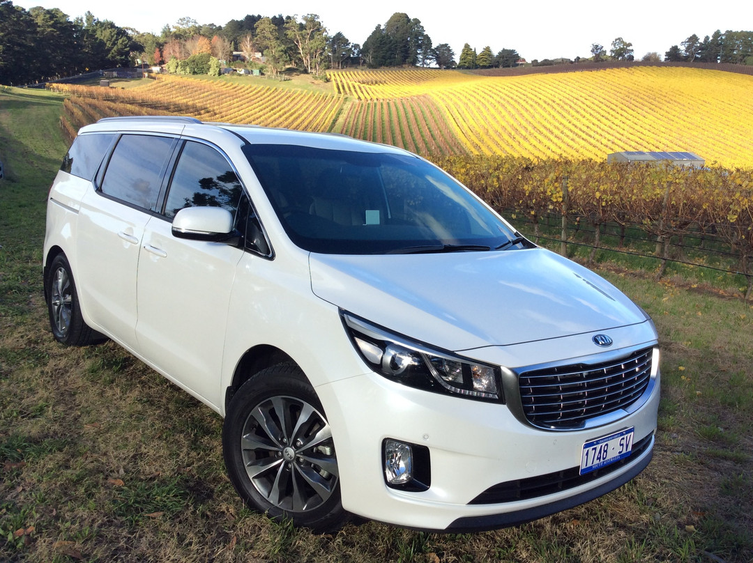 頂級缺口葡萄酒之旅-阿德莱德必去景点