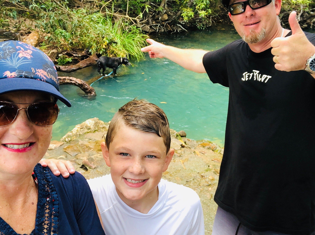 Cardwell Forest Drive-卡德威尔必去景点