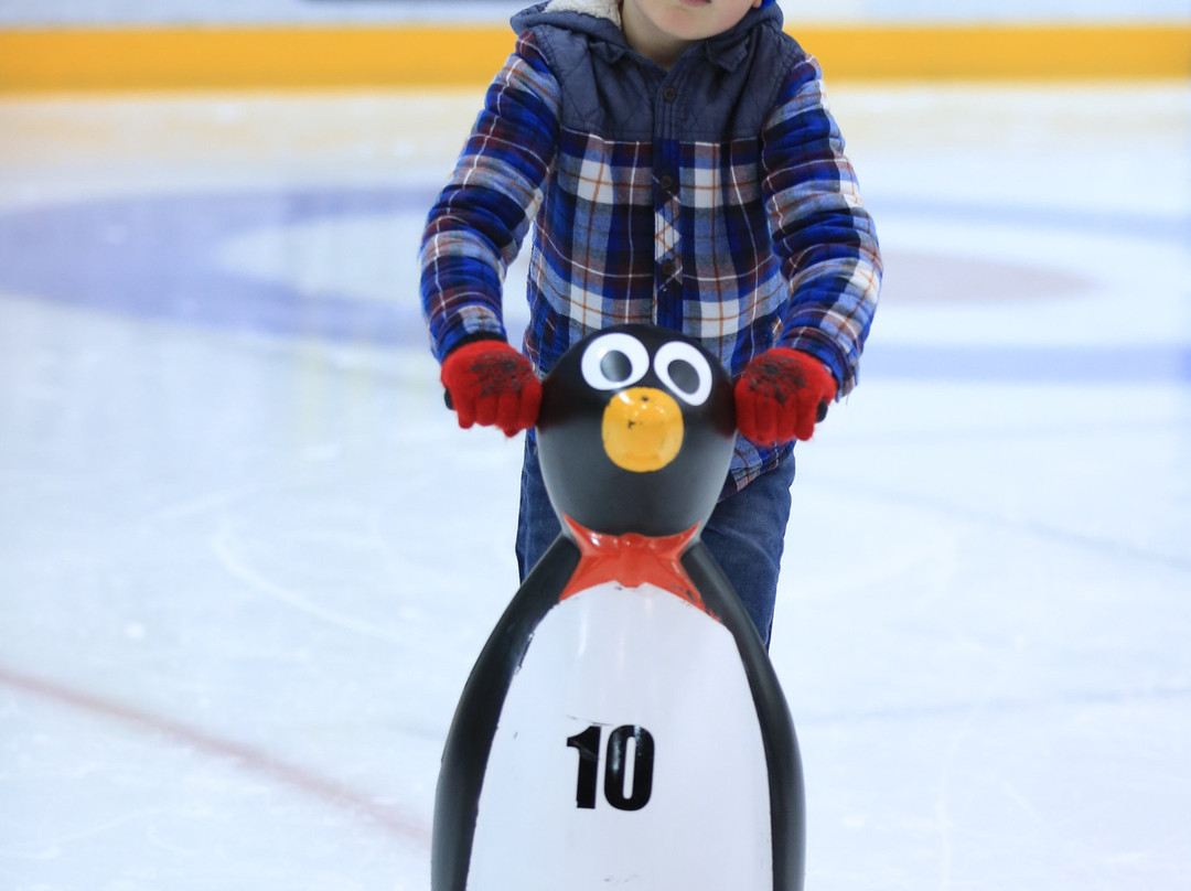 Dundee Ice Arena-敦提必去景点
