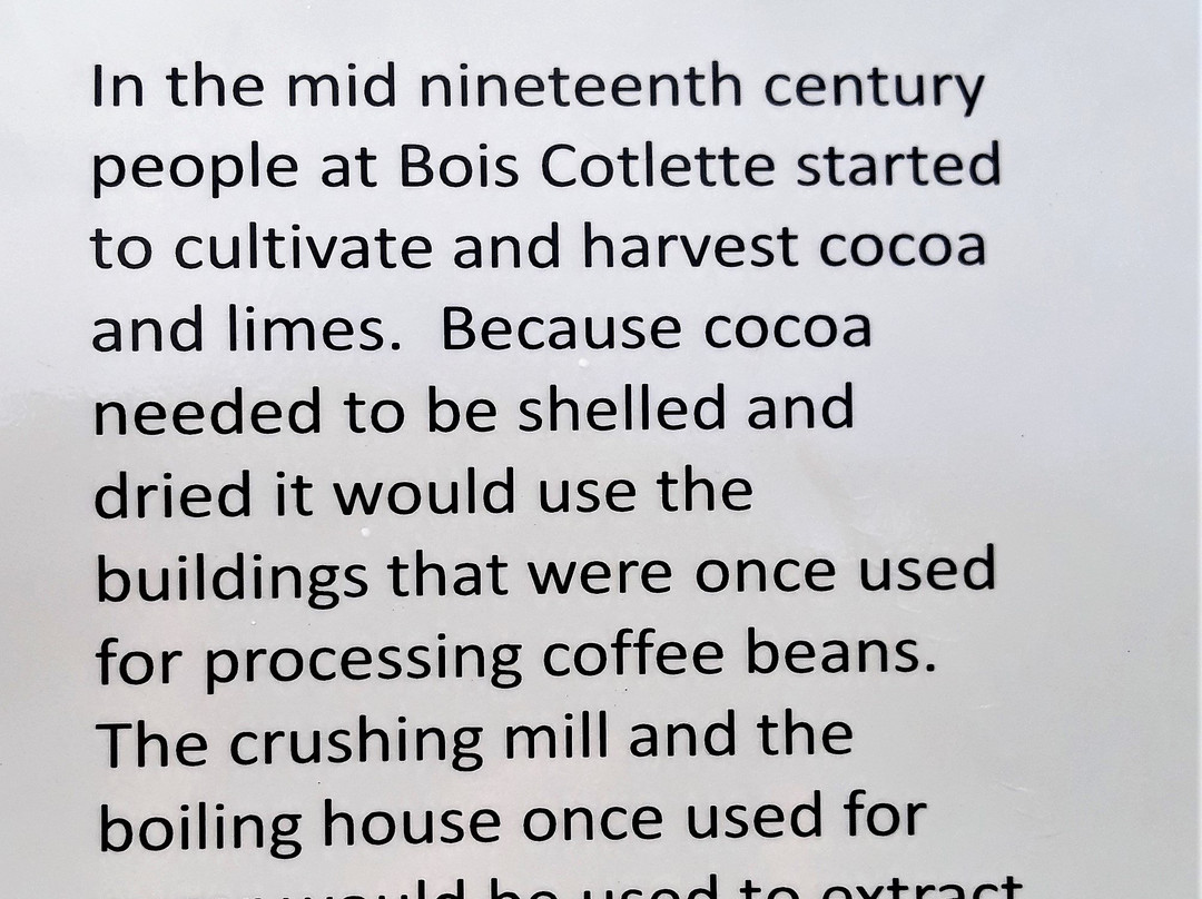 Bois Cotlette Estate-Saint Mark Parish必去景点