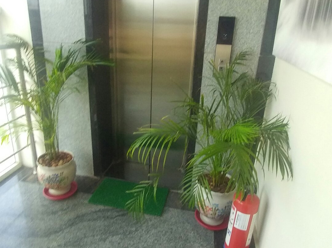 Treebo Trend C Plaza主图