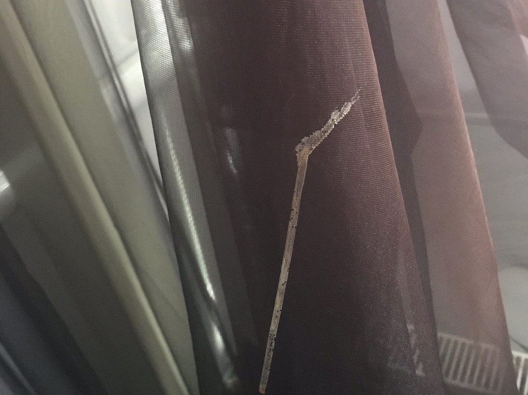 Flores Spa-德鲁斯基宁凯必去景点