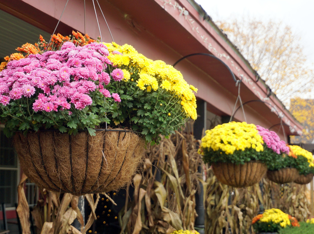 The Common Man Inn & Spa主图