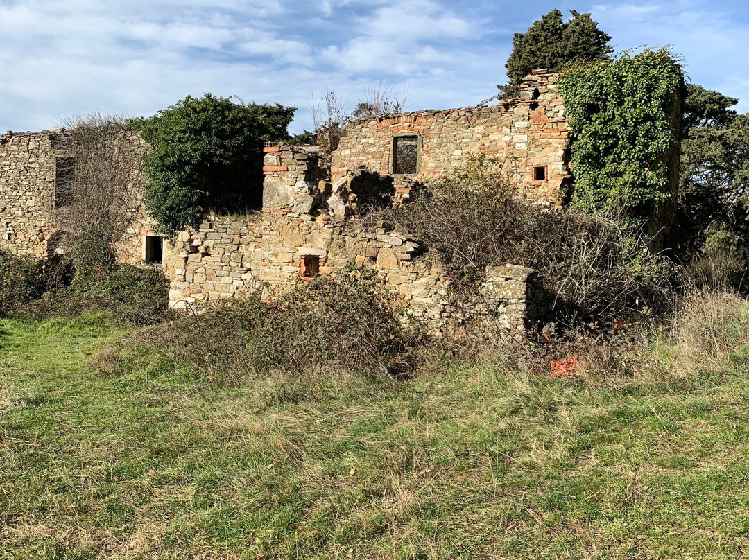 Off Road in Tuscany-格雷韦伊恩基亚恩蒂必去景点