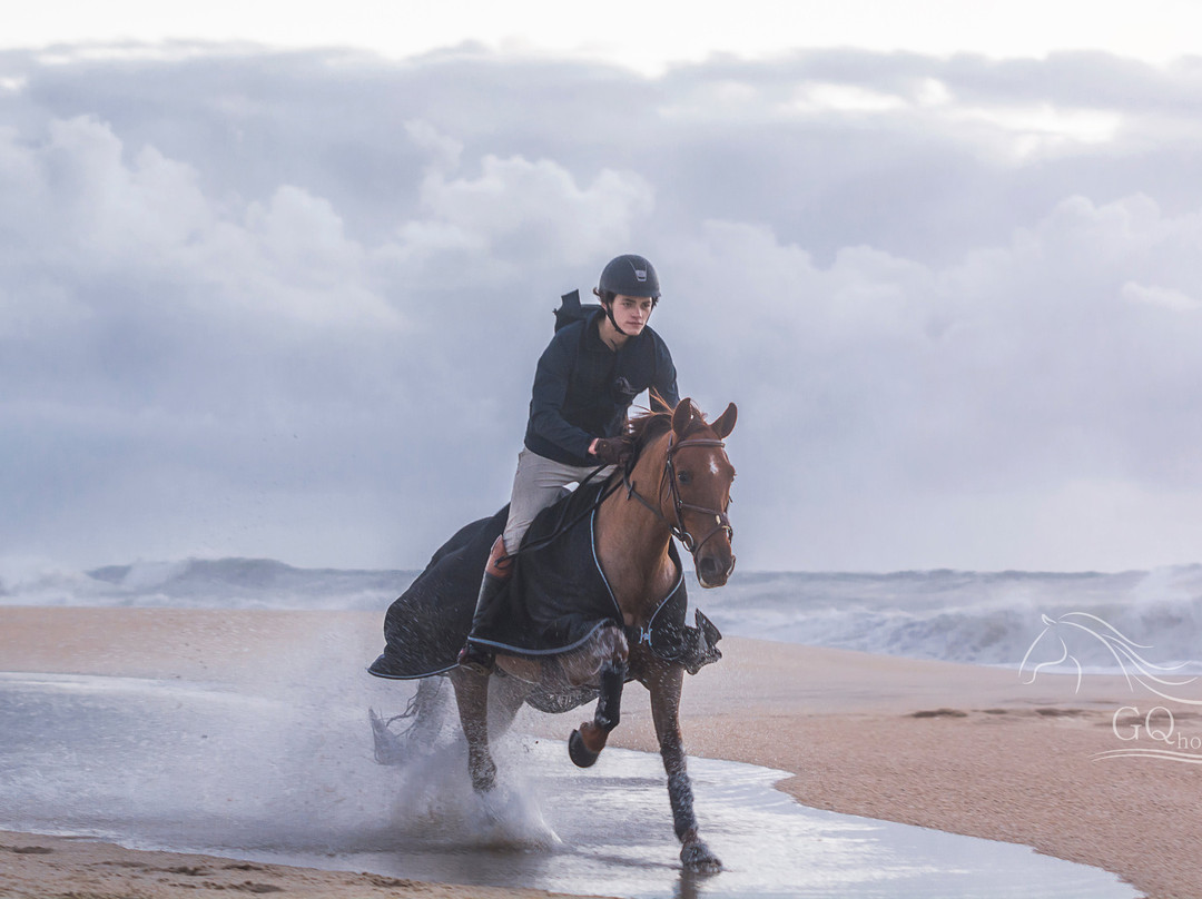 GQhorses-Gafanha da Boa-Hora必去景点