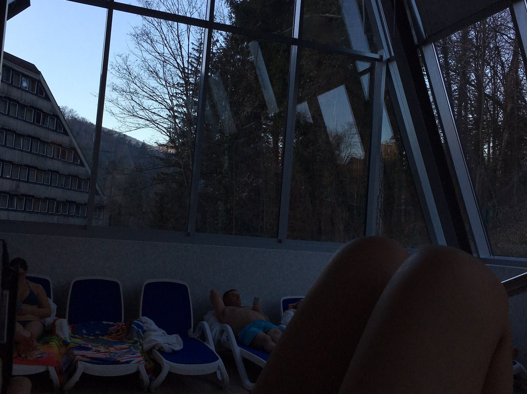 Hotel Vita - Terme Dobrna主图