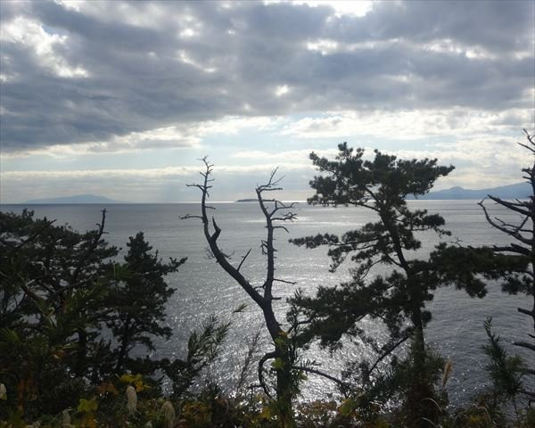 Ohayashi Tembo Park-真鹤町必去景点