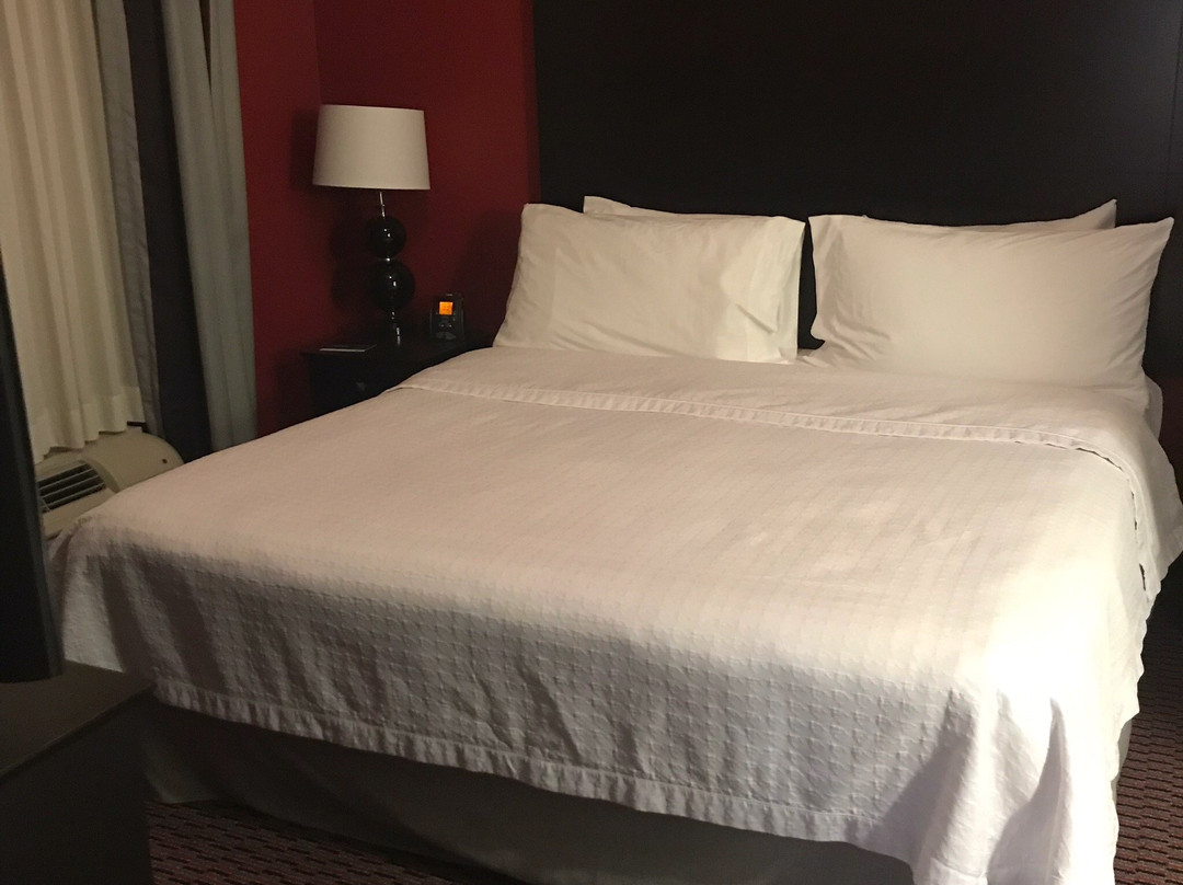 里斯堡希尔顿惠庭套房酒店主图