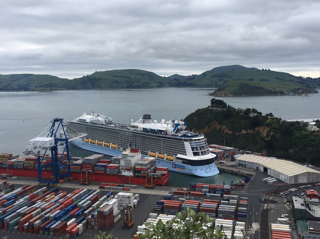 D-Tours Otago-但尼丁必去景点