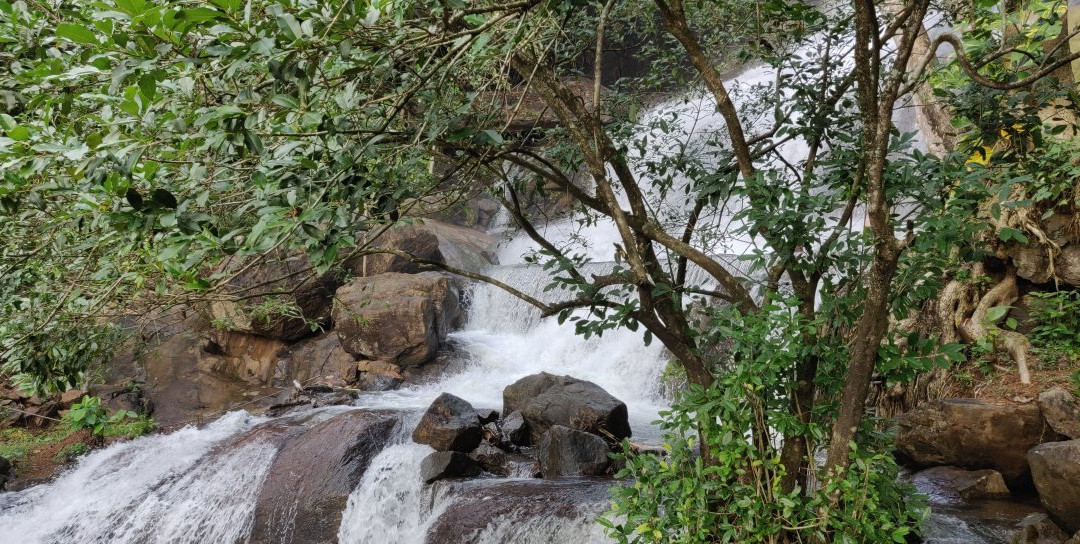 Areekkal Water Falls景点图片