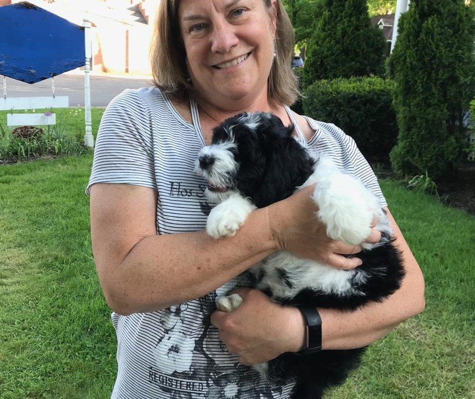 Jefferson Inn of Ellicottville主图