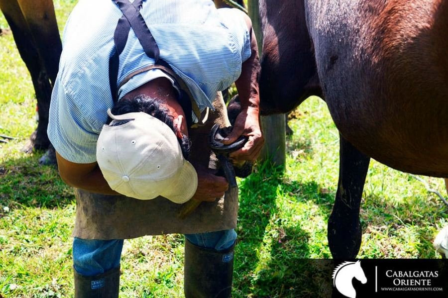 Cabalgatas Oriente-麦德林必去景点