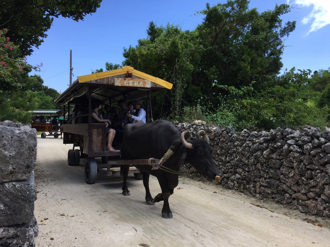 Taketomi Island Kuramoto Remains-竹富町竹富岛必去景点
