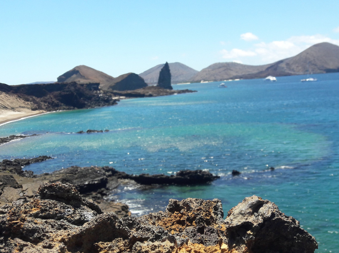 My Galápagos Tour景点图片