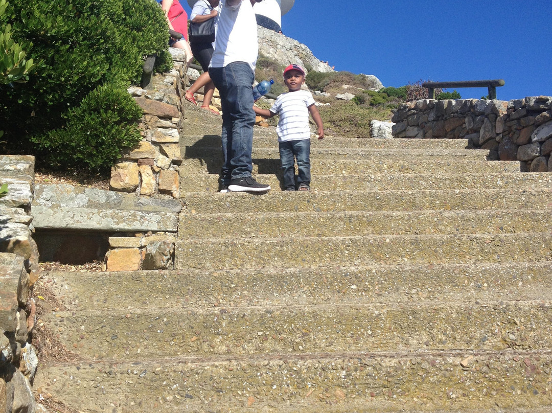 Small World Tours-开普敦必去景点