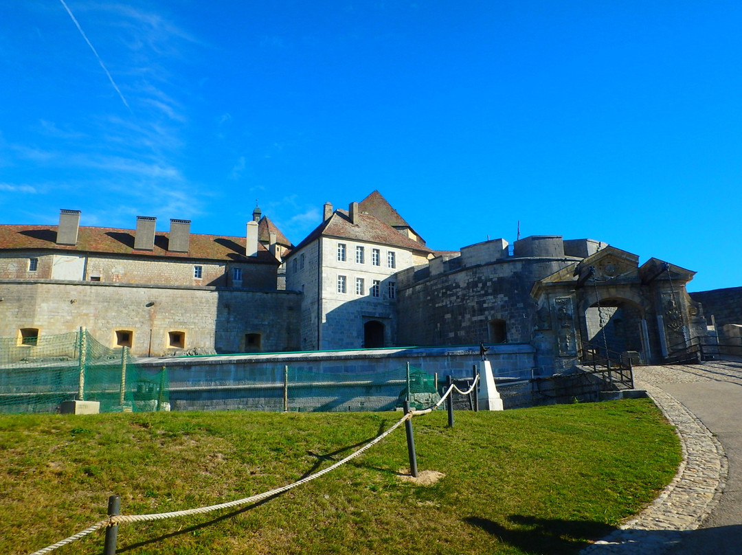 Chateau de Joux景点图片