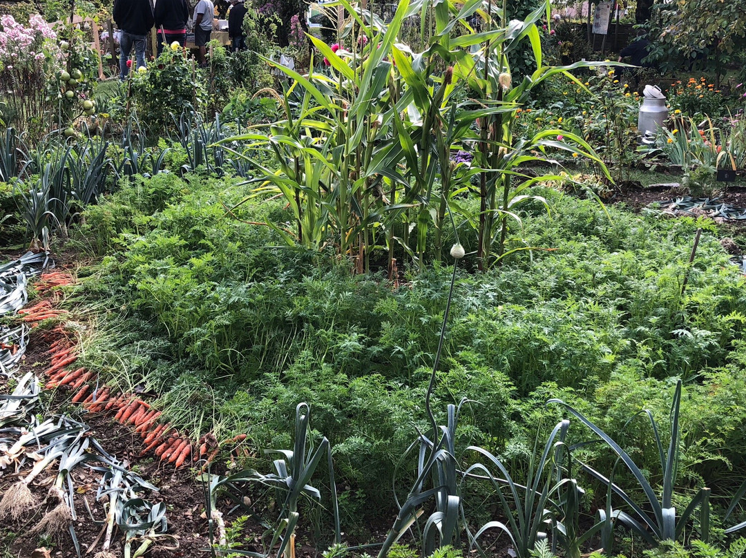 Le Jardin de Cure景点图片