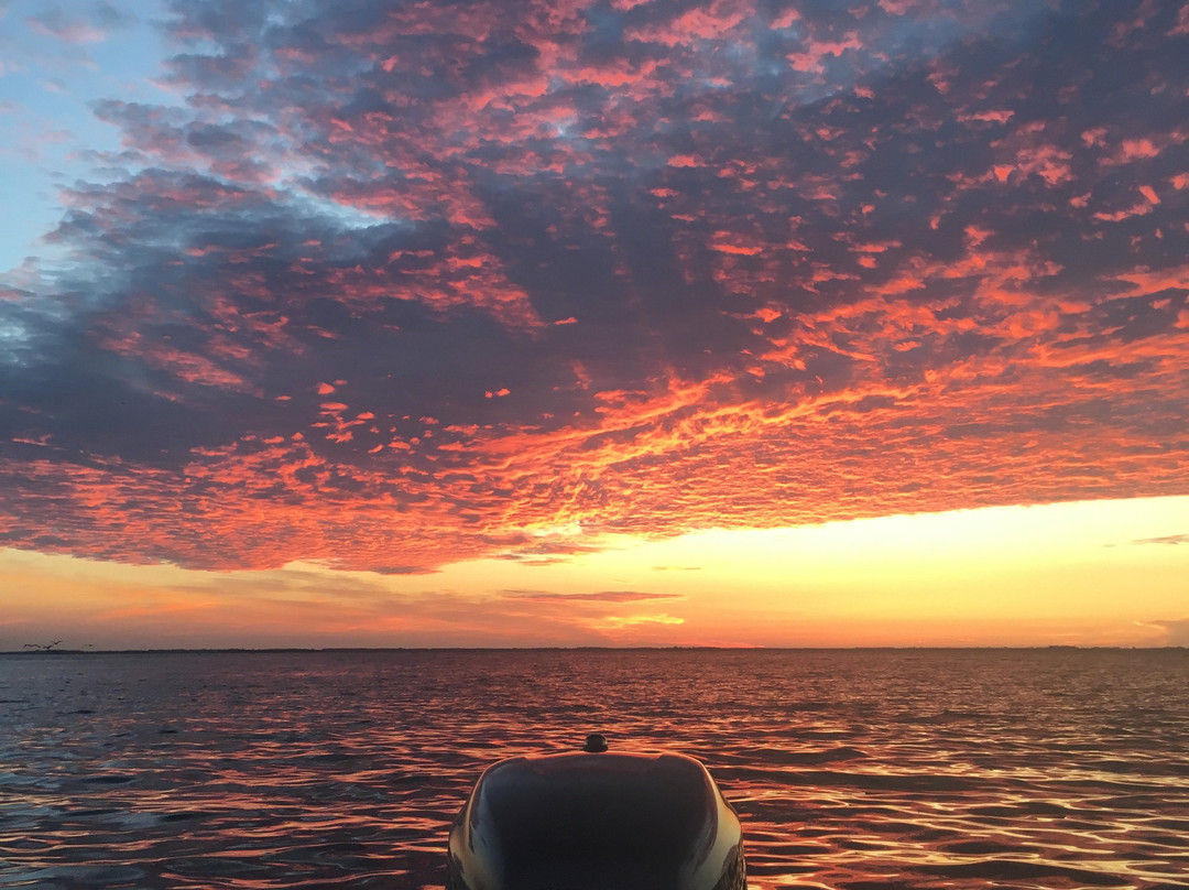 Capt. Chris Miles-Bokeelia必去景点