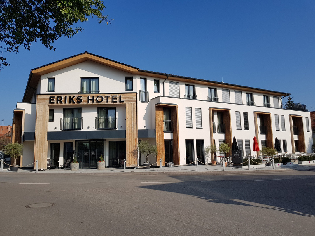 Erik's Hotel主图
