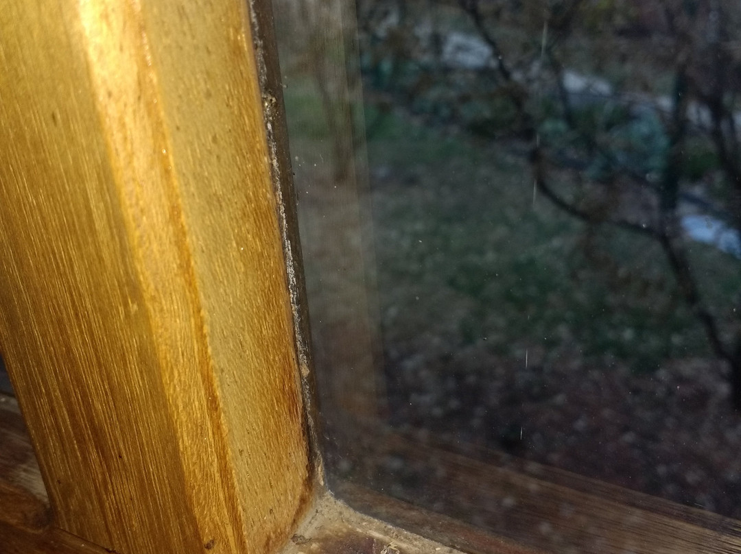 Mountainview Inn主图