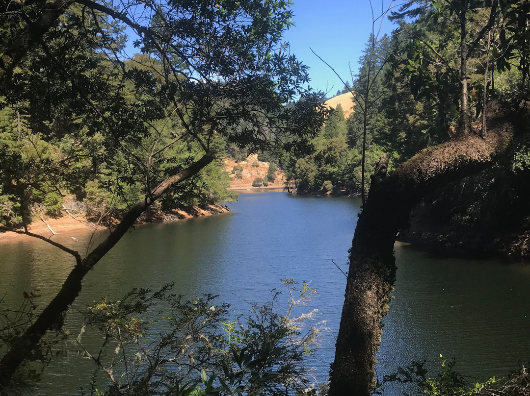 Cataract Falls-Fairfax必去景点