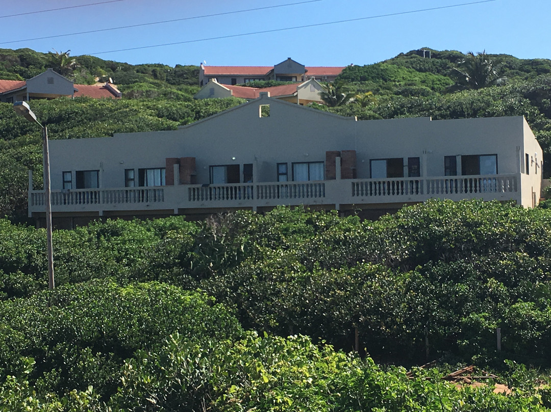 Go Wild Resort主图