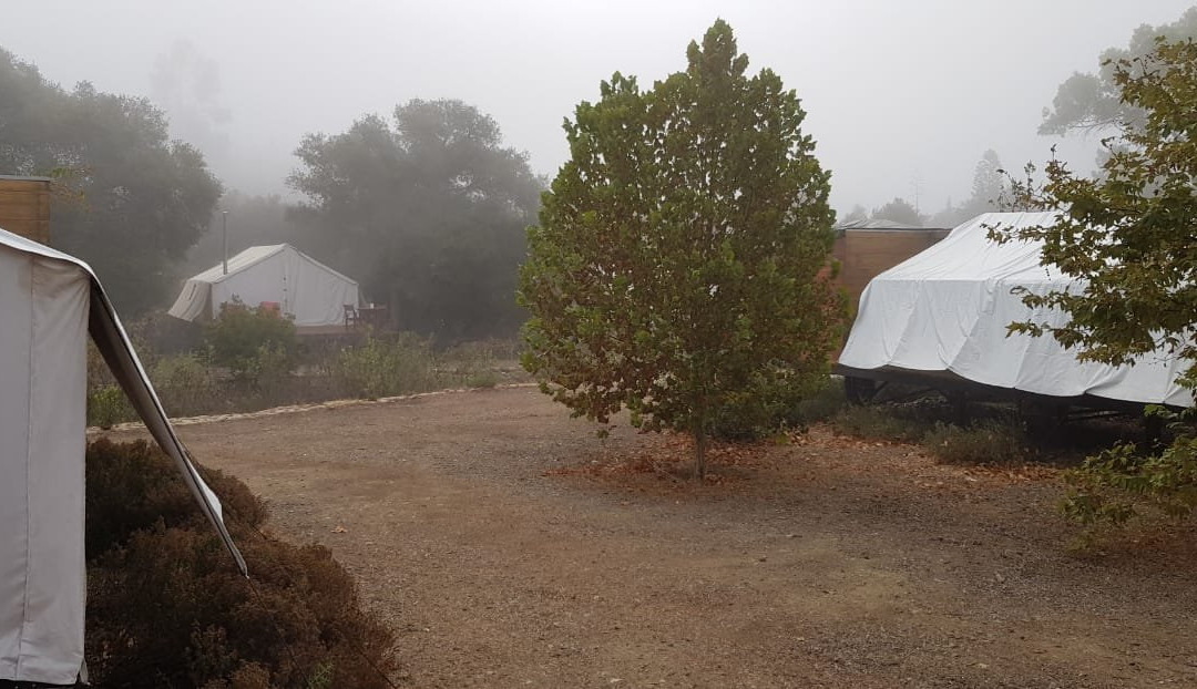 Hotel Cuatro Cuatros主图