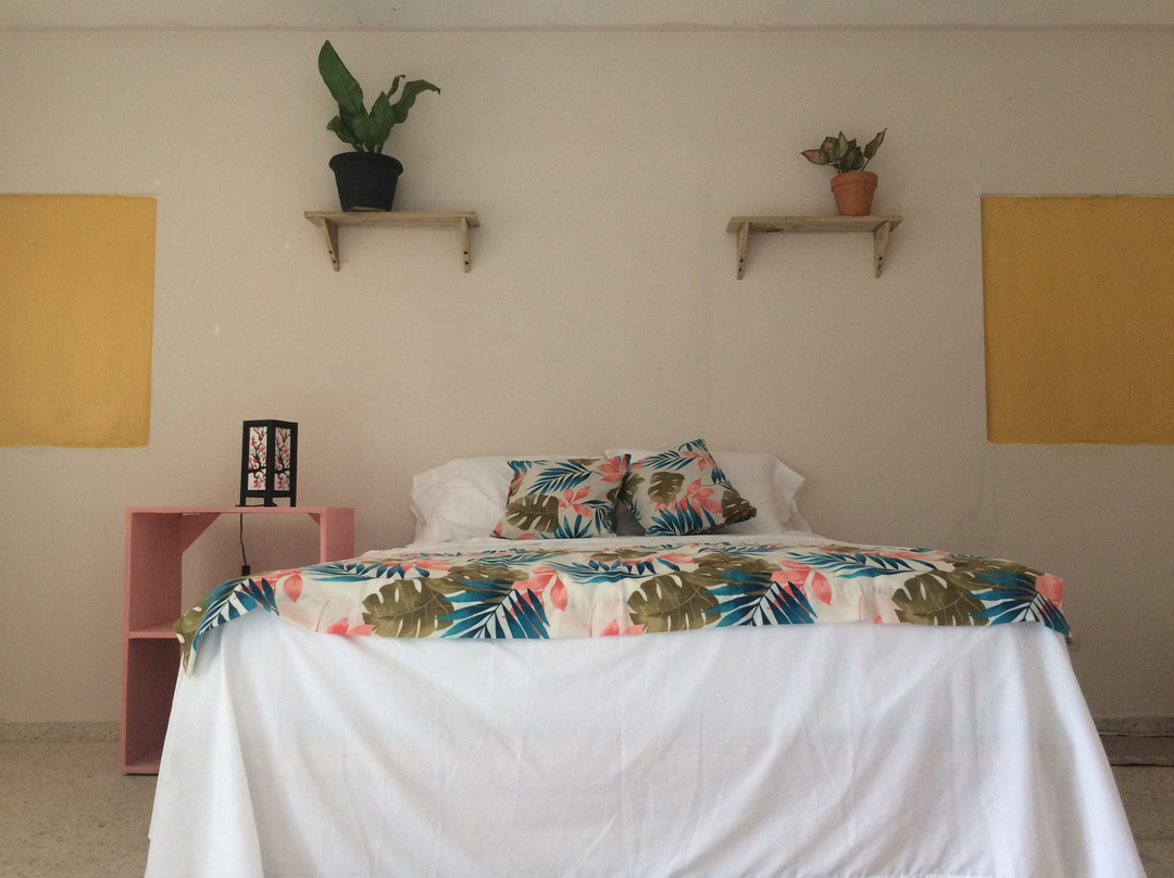 Hostal Casa 14主图