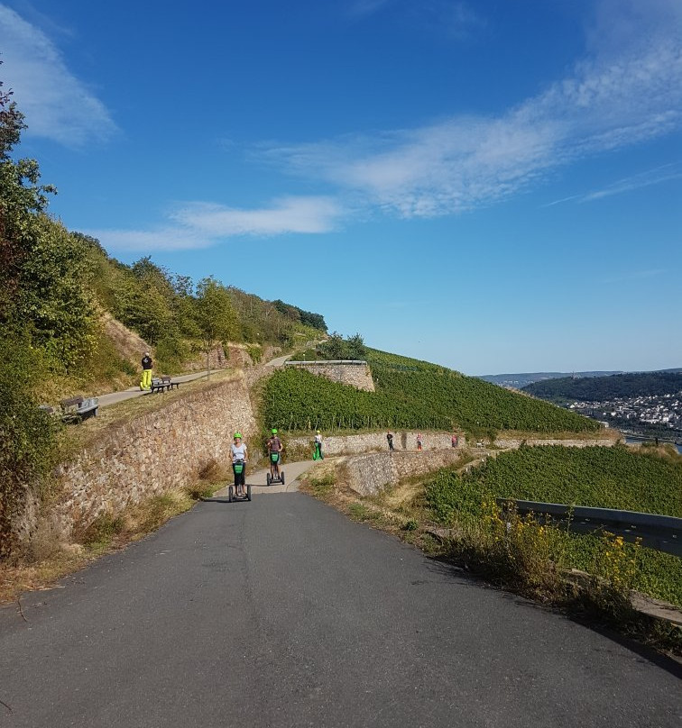 Segway Events Rheingau景点图片