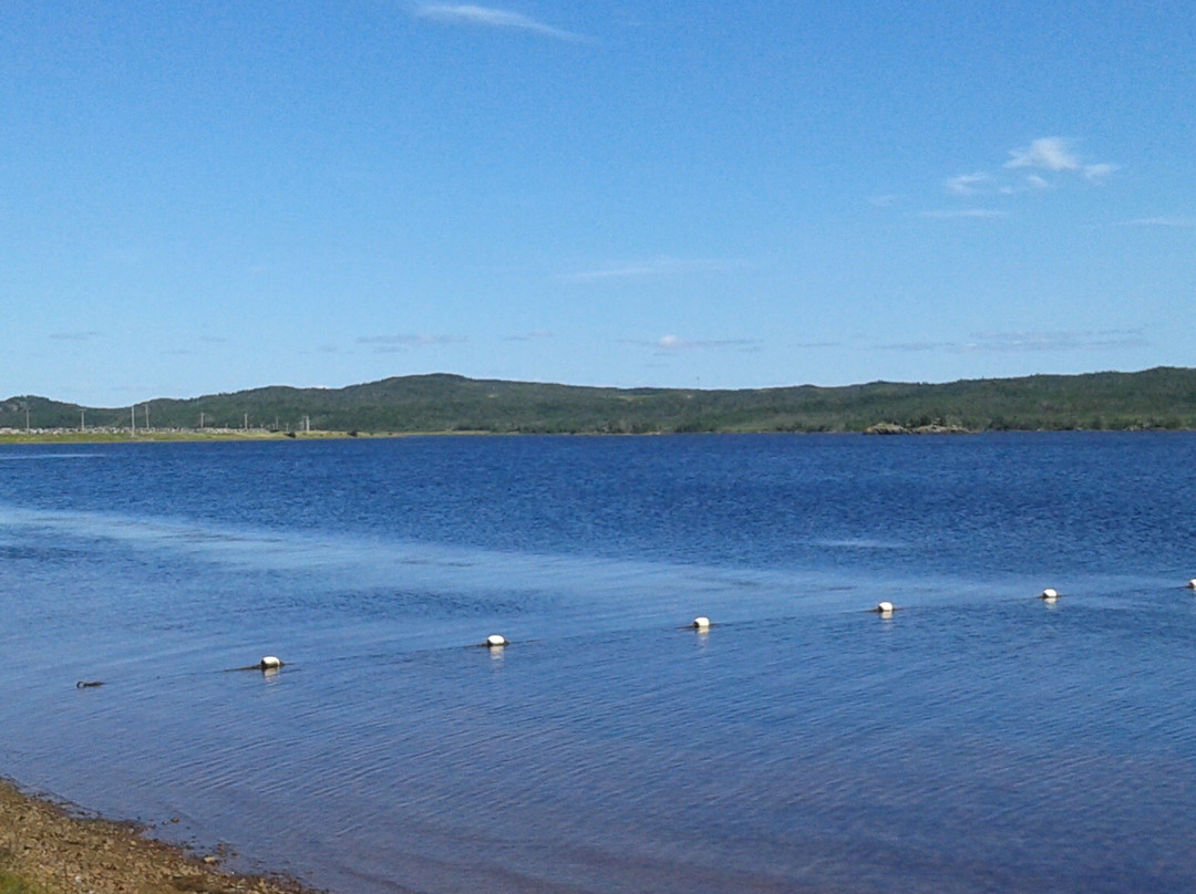 Frenchman's Cove Provincial Park景点图片